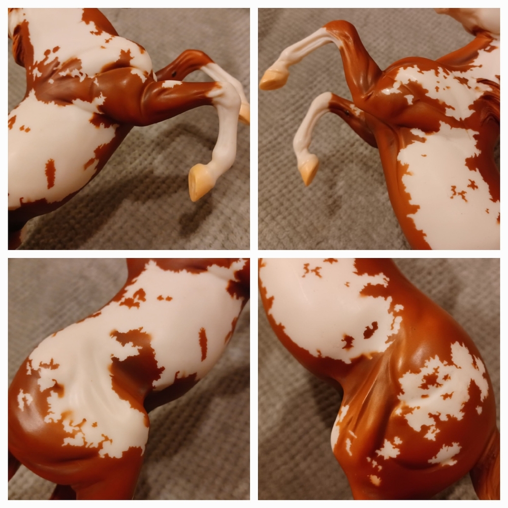 Breyer Hidalgo - Picture 12 of 16